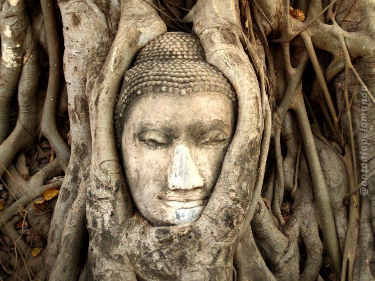 Ayutthaya - Foto : Banco de imagens