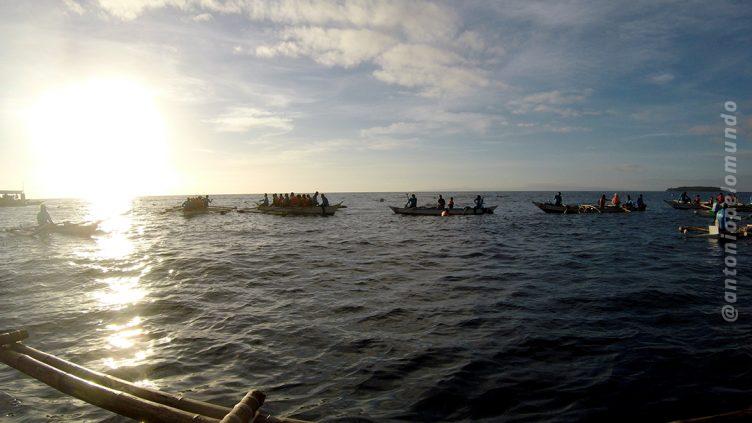 Nadando com tubarões baleias em Cebu