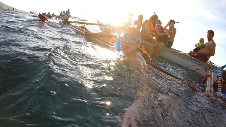 Whale Shark Wathing Oslob - Cebu