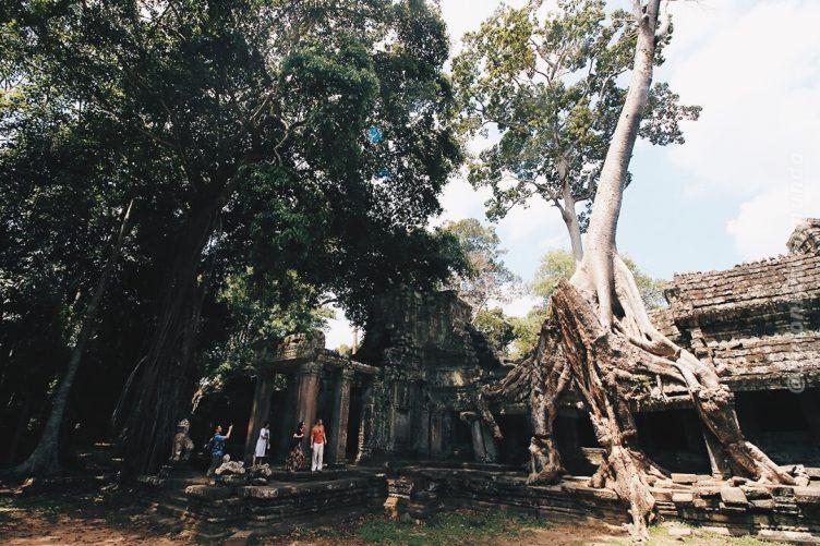 Preah Khan - Angkor 