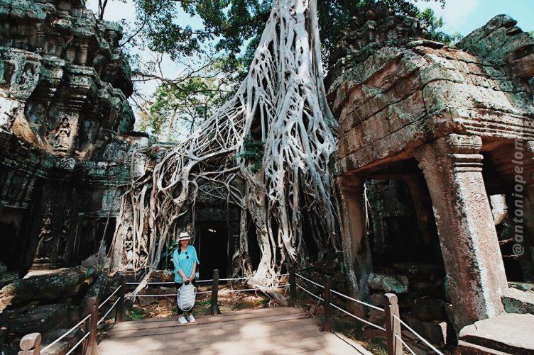 Tah Prohm - Angkor Thom
