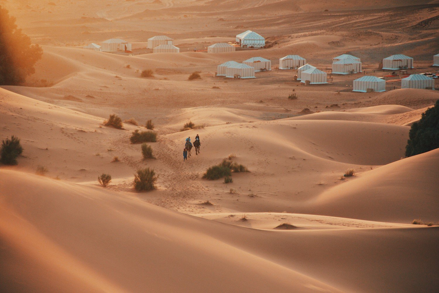 Acampamento no Deserto do Saara 